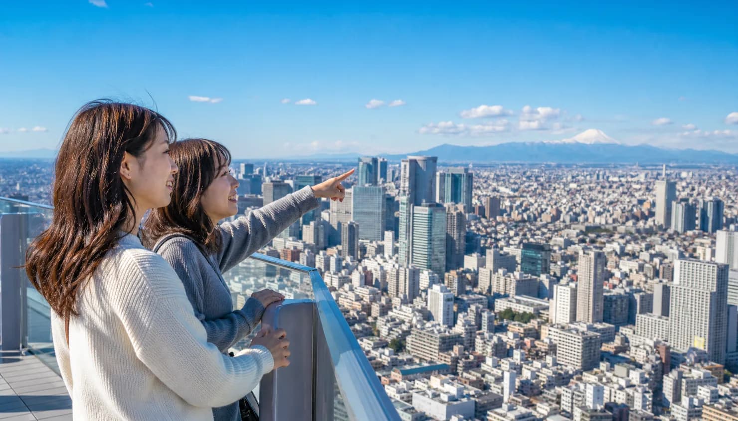 How to Buy SHIBUYA SKY Tickets: WEB vs. Counter Tickets