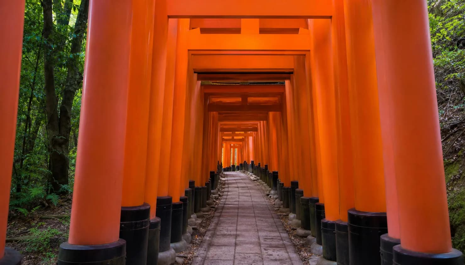 The Senbon Torii path at Fushimi Inari Taisha